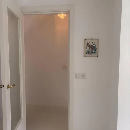 Quiet Renovated House In Center *