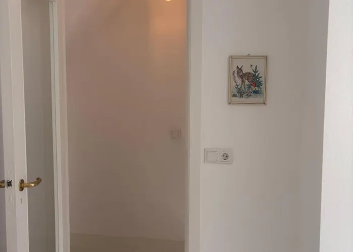 Quiet Renovated House In Center *