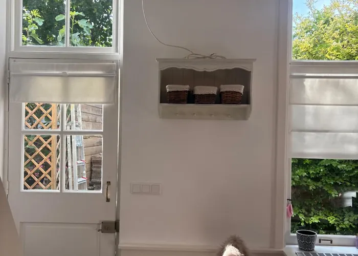 Quiet Renovated House In Center Apartamento